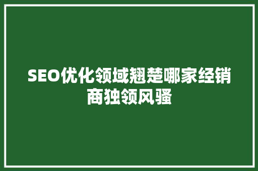 SEO优化领域翘楚哪家经销商独领风骚