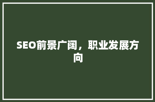 SEO前景广阔，职业发展方向