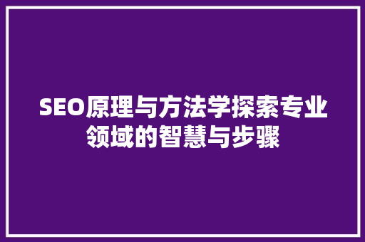 SEO原理与方法学探索专业领域的智慧与步骤