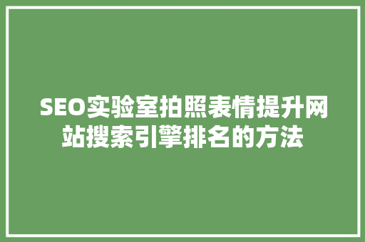 SEO实验室拍照表情提升网站搜索引擎排名的方法