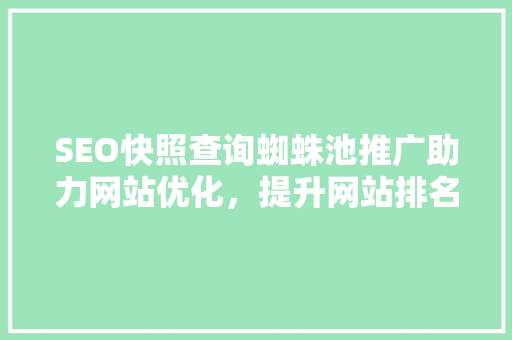 SEO快照查询蜘蛛池推广助力网站优化，提升网站排名