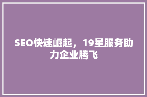 SEO快速崛起，19星服务助力企业腾飞