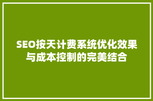 SEO按天计费系统优化效果与成本控制的完美结合