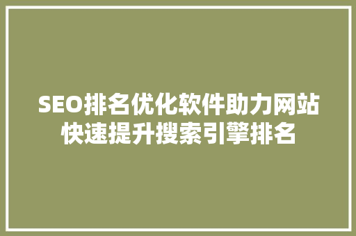 SEO排名优化软件助力网站快速提升搜索引擎排名