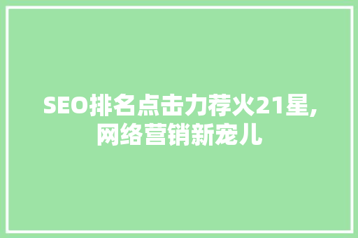SEO排名点击力荐火21星,网络营销新宠儿