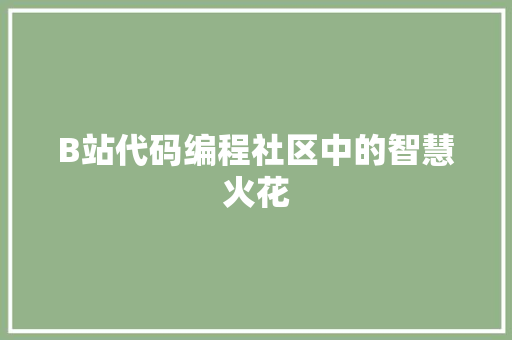 B站代码编程社区中的智慧火花