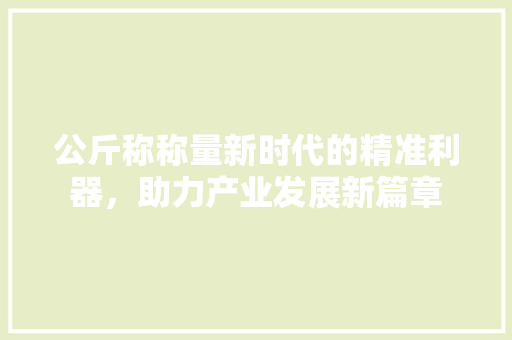公斤称称量新时代的精准利器，助力产业发展新篇章