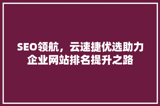SEO领航，云速捷优选助力企业网站排名提升之路