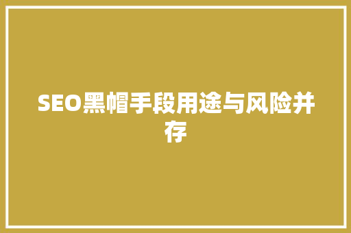 SEO黑帽手段用途与风险并存