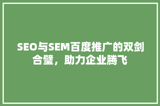 SEO与SEM百度推广的双剑合璧，助力企业腾飞