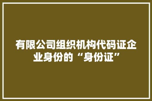 有限公司组织机构代码证企业身份的“身份证”