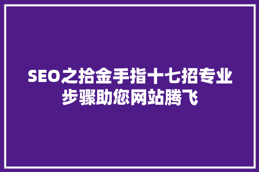 SEO之拾金手指十七招专业步骤助您网站腾飞  第1张