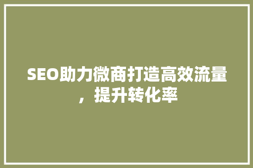 SEO助力微商打造高效流量，提升转化率