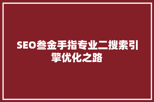 SEO叁金手指专业二搜索引擎优化之路