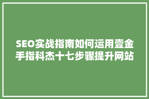SEO实战指南如何运用壹金手指科杰十七步骤提升网站排名