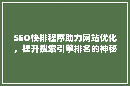 SEO快排程序助力网站优化，提升搜索引擎排名的神秘武器