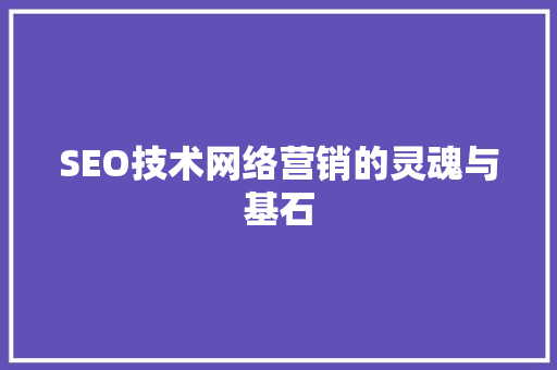 SEO技术网络营销的灵魂与基石  第1张