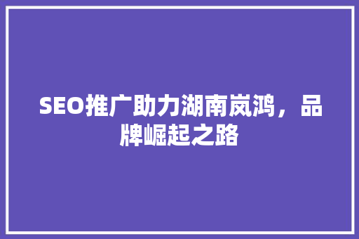 SEO推广助力湖南岚鸿，品牌崛起之路