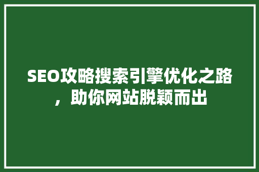 SEO攻略搜索引擎优化之路，助你网站脱颖而出