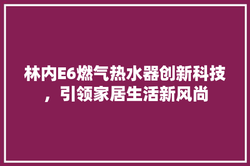 林内E6燃气热水器创新科技，引领家居生活新风尚