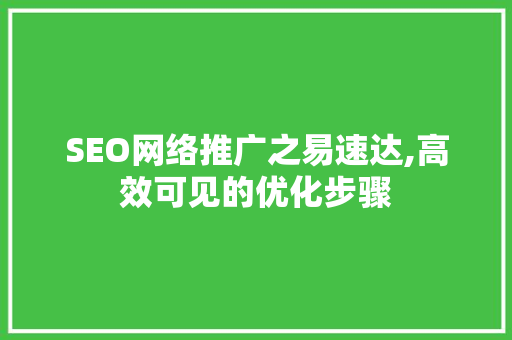 SEO网络推广之易速达,高效可见的优化步骤