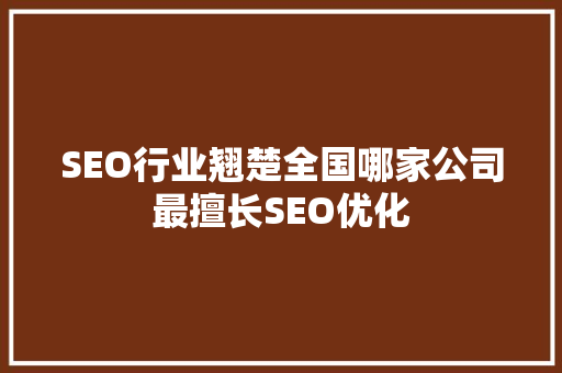 SEO行业翘楚全国哪家公司最擅长SEO优化