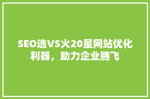 SEO选VS火20星网站优化利器，助力企业腾飞