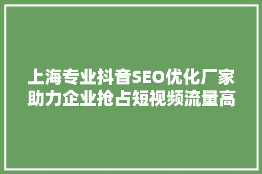 上海专业抖音SEO优化厂家助力企业抢占短视频流量高地