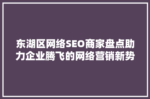 东湖区网络SEO商家盘点助力企业腾飞的网络营销新势力