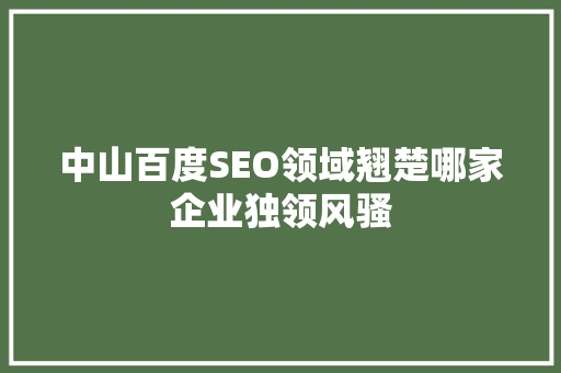 中山百度SEO领域翘楚哪家企业独领风骚  第1张