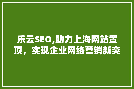 乐云SEO,助力上海网站置顶，实现企业网络营销新突破