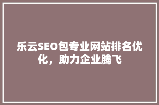 乐云SEO包专业网站排名优化，助力企业腾飞