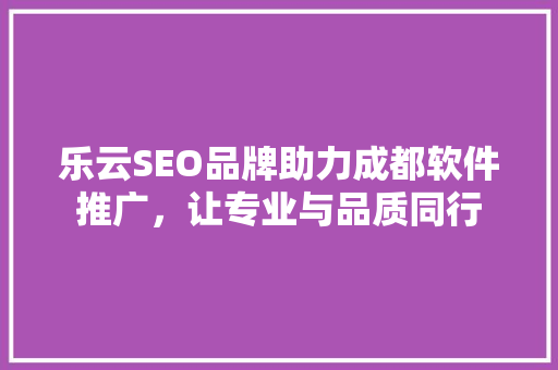 乐云SEO品牌助力成都软件推广，让专业与品质同行