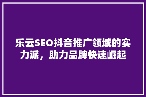 乐云SEO抖音推广领域的实力派，助力品牌快速崛起