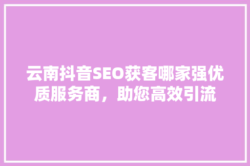 云南抖音SEO获客哪家强优质服务商，助您高效引流
