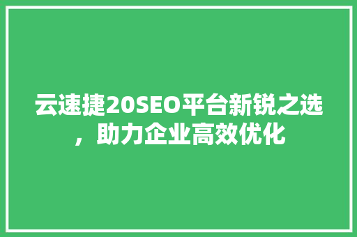 云速捷20SEO平台新锐之选，助力企业高效优化