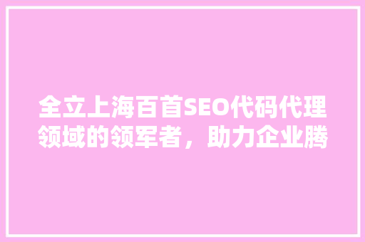 全立上海百首SEO代码代理领域的领军者，助力企业腾飞