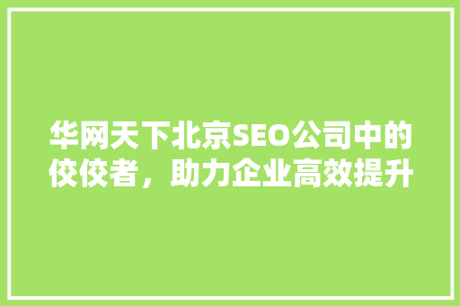 华网天下北京SEO公司中的佼佼者，助力企业高效提升网络排名