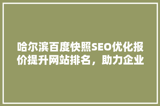 哈尔滨百度快照SEO优化报价提升网站排名，助力企业腾飞