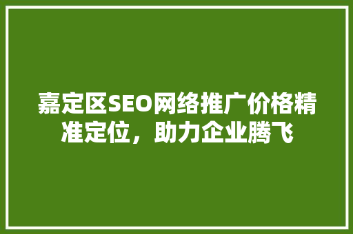嘉定区SEO网络推广价格精准定位，助力企业腾飞