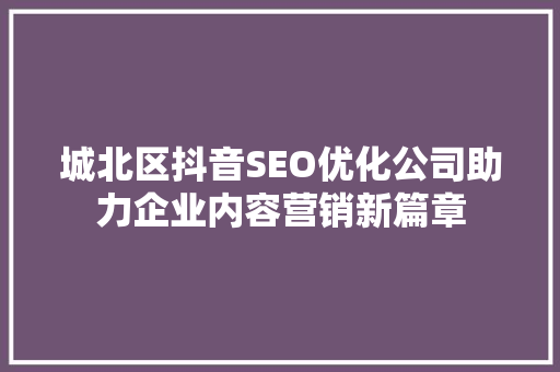 城北区抖音SEO优化公司助力企业内容营销新篇章