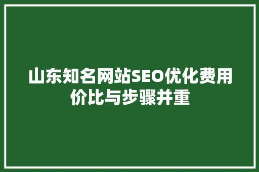山东知名网站SEO优化费用价比与步骤并重