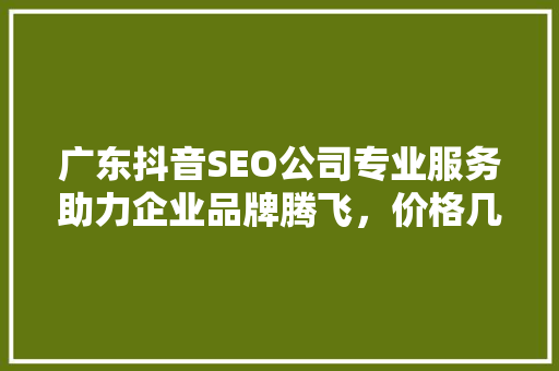 广东抖音SEO公司专业服务助力企业品牌腾飞，价格几何