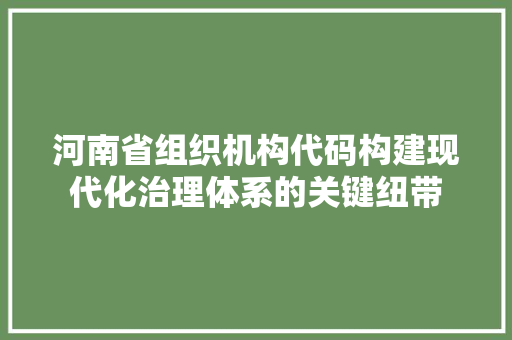 河南省组织机构代码构建现代化治理体系的关键纽带