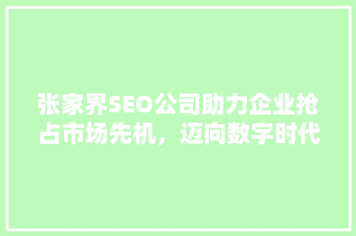 张家界SEO公司助力企业抢占市场先机，迈向数字时代