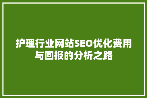 护理行业网站SEO优化费用与回报的分析之路
