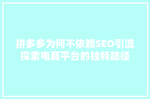 拼多多为何不依赖SEO引流探索电商平台的独特路径