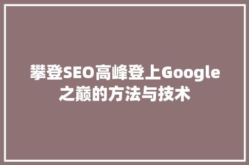 攀登SEO高峰登上Google之巅的方法与技术