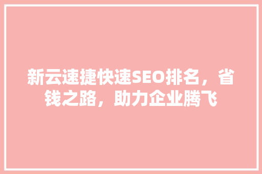 新云速捷快速SEO排名，省钱之路，助力企业腾飞