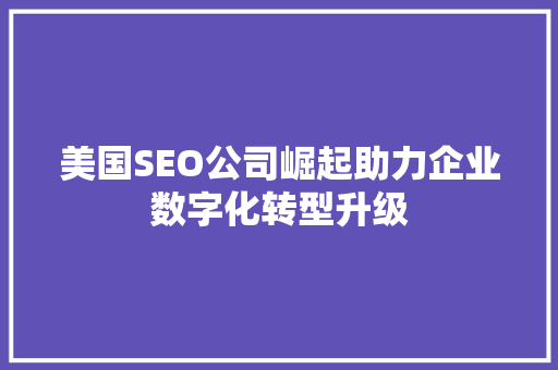 美国SEO公司崛起助力企业数字化转型升级